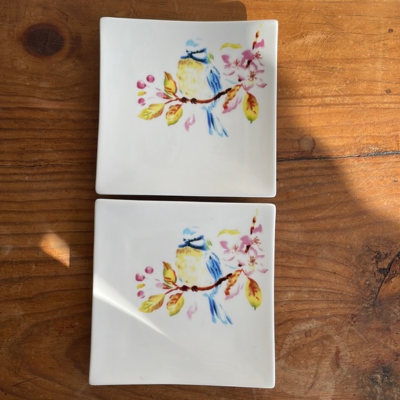 Pier 1 Bird Plates - Picture 1 of 15